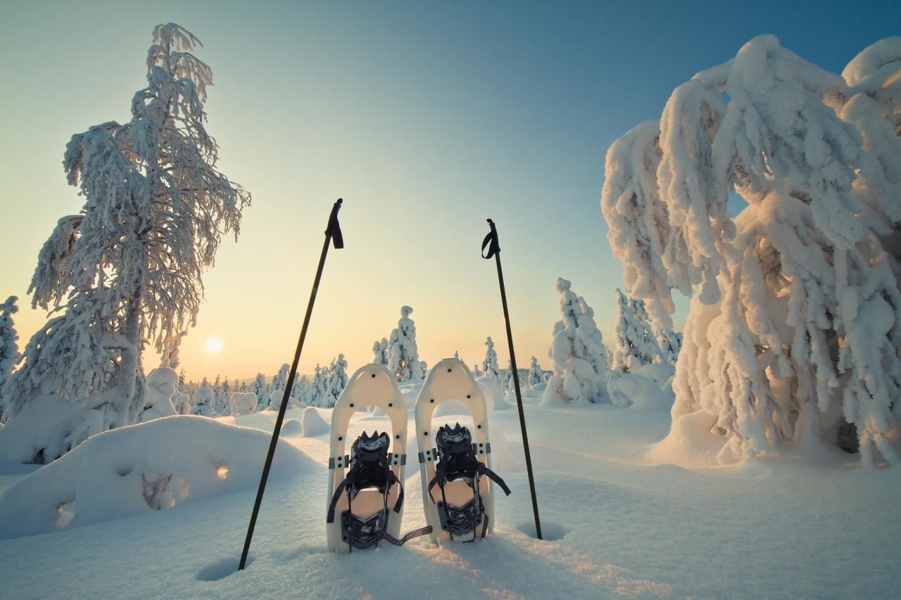 Лоджи Arctic Circle Wilderness Resort Викаярви-14
