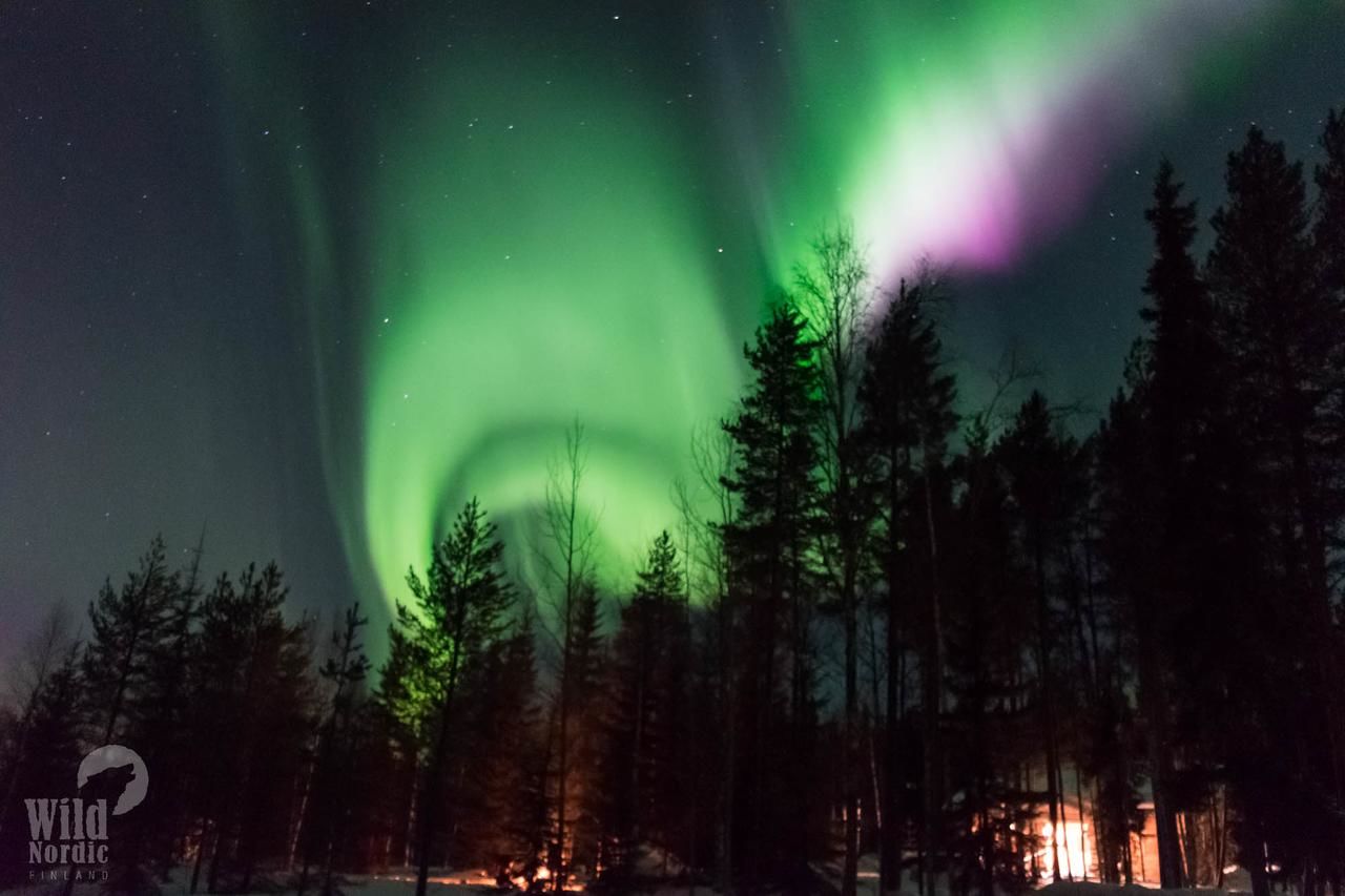 Лоджи Arctic Circle Wilderness Resort Викаярви-7