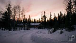 Лоджи Arctic Circle Wilderness Resort Викаярви Шале с двумя спальнями-2