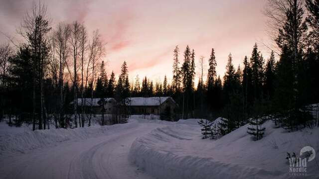 Лоджи Arctic Circle Wilderness Resort Викаярви-59